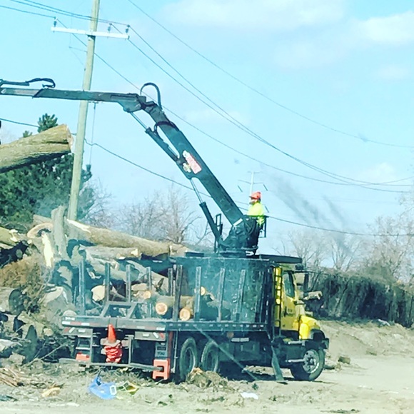 Meet your Posher, Neal - Picture 1 of 1